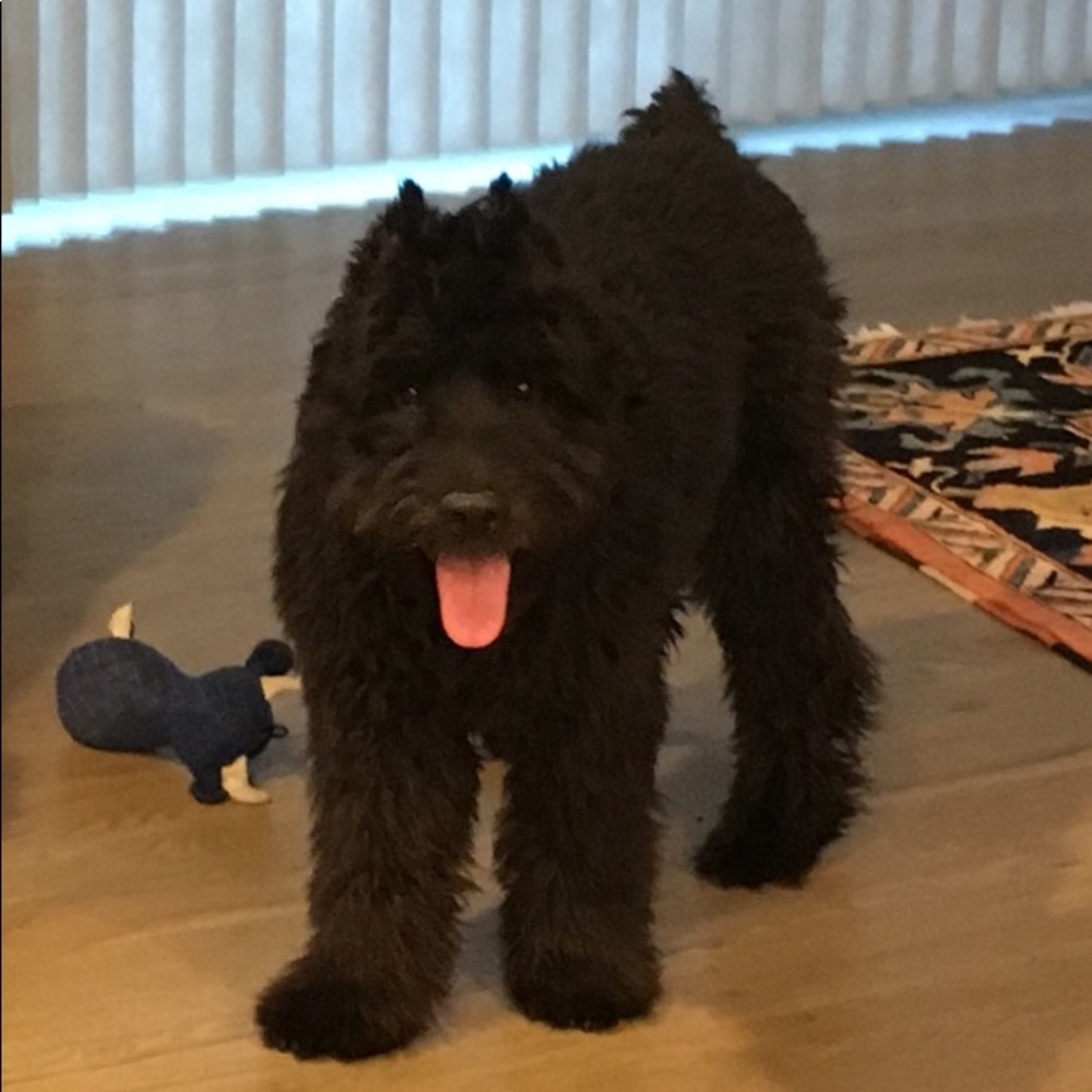 Meet your Posher, Rita